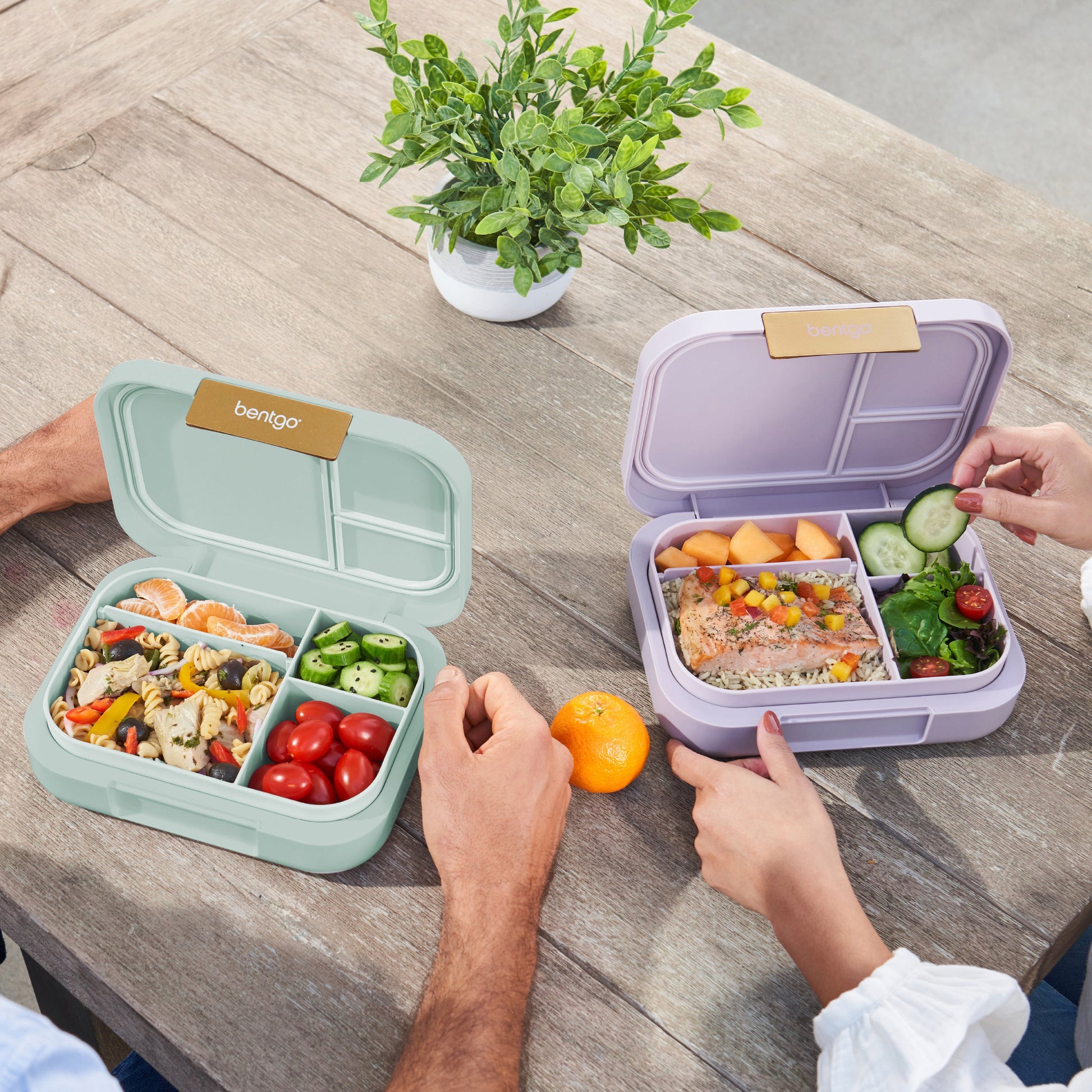 bentgo-modern-lunch-box-2-pack-t9 COSTCOBMCPRODUCTIMAGE_2.jpg